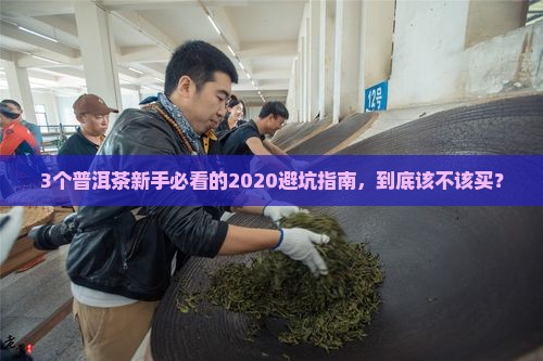 2020普洱茶何去何从