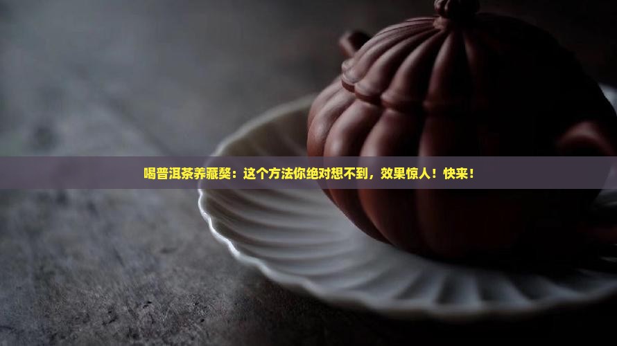 喝普洱茶养藏獒