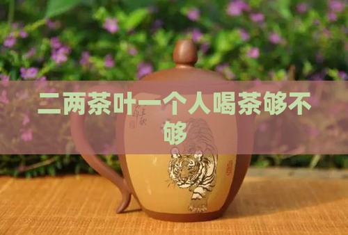 一个人喝茶叶二两够吗