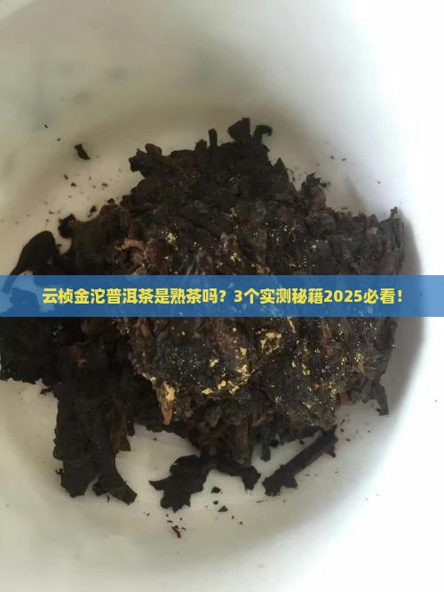 云桢金沱普洱茶是熟茶吗