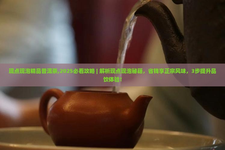 现点现泡精品普洱茶