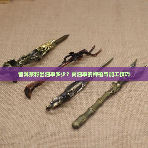 普洱茶籽出油率多少