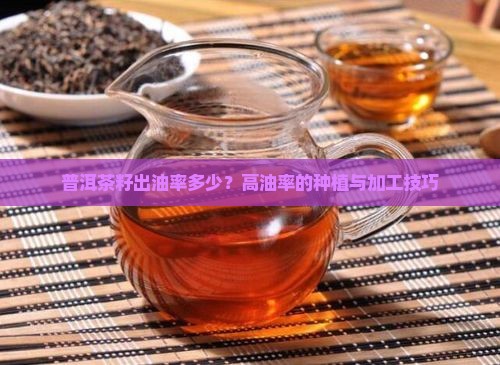 普洱茶籽出油率多少