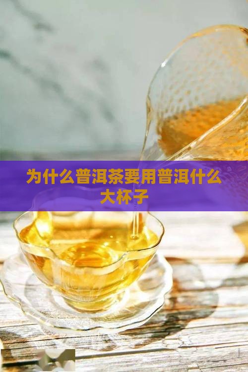 普洱茶为什么用大杯子