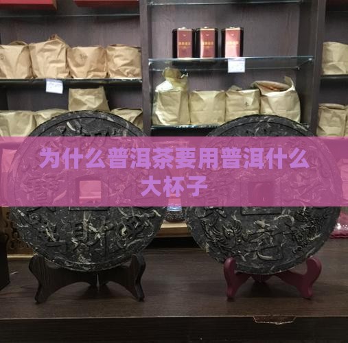 普洱茶为什么用大杯子