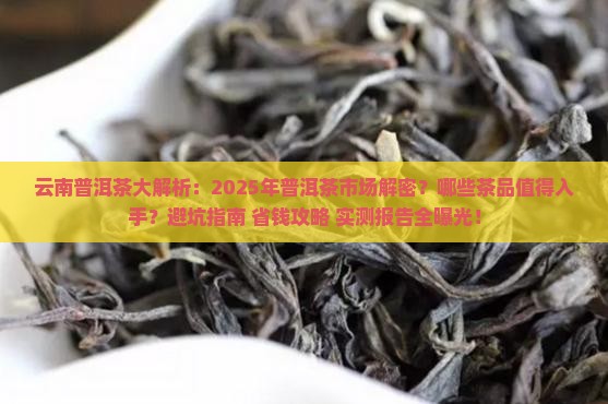 云南普洱茶大事件