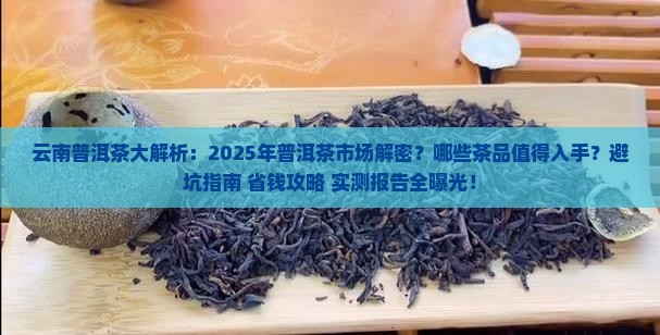 云南普洱茶大事件