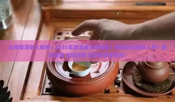 云南普洱茶大事件