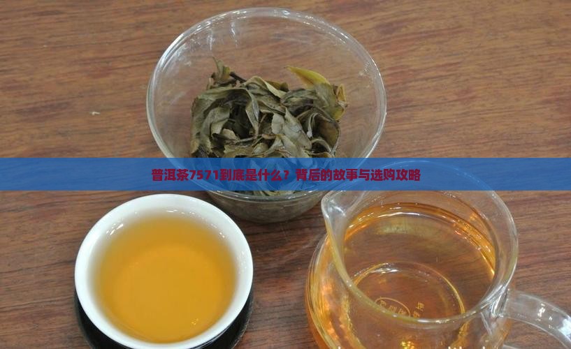 普洱茶7571啥意思 普洱茶7571啥意思