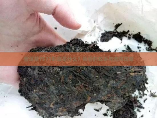 普洱茶7571啥意思 普洱茶7571啥意思
