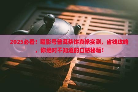 曜影号普洱茶饼