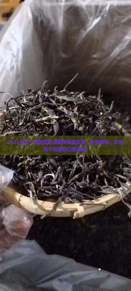 曜影号普洱茶饼