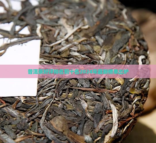普洱茶好评排名前十名
