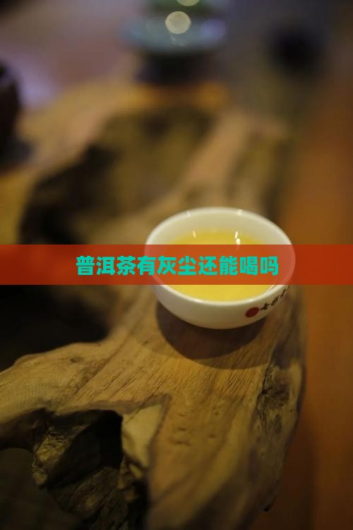 普洱茶有尘味还能喝吗