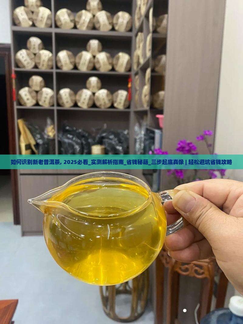 如何识别新老普洱茶