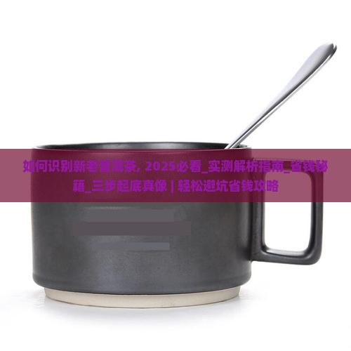如何识别新老普洱茶