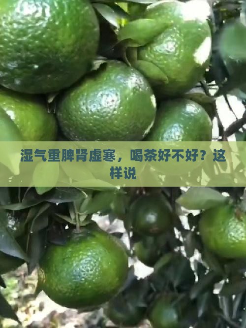 脾肾虚寒湿气重的人喝茶好不好