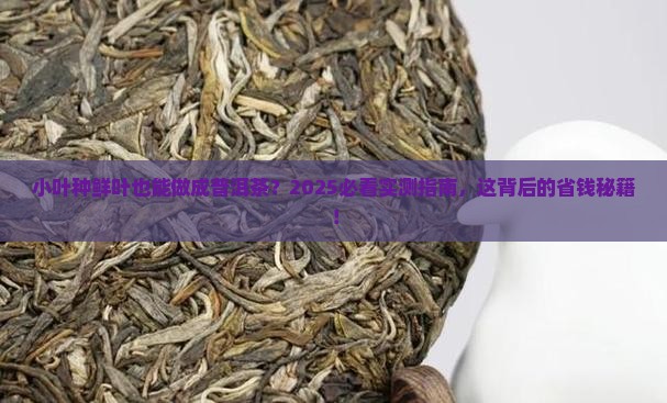 小叶种鲜叶做成普洱茶