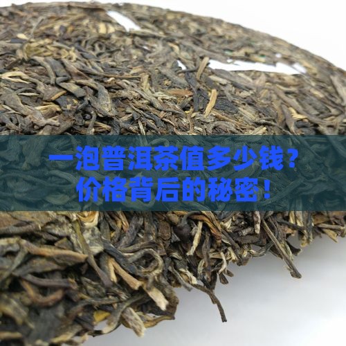 一泡普洱茶值多少钱