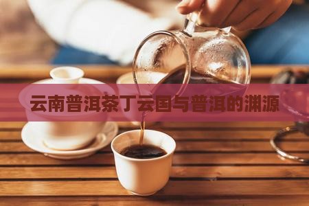 云南普洱茶丁云国