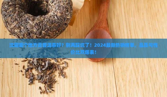 沈阳哪个地方卖普洱茶好