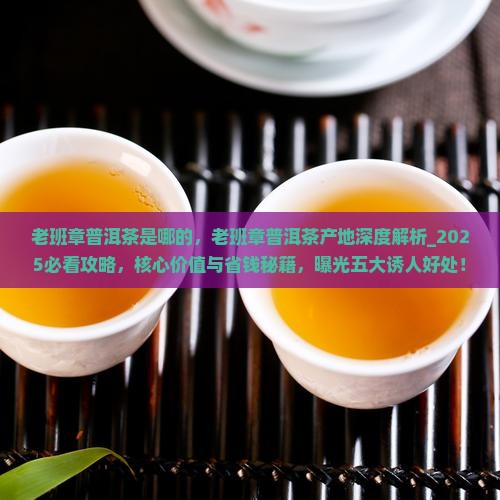 老班章普洱茶是哪的