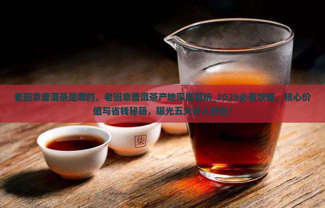 老班章普洱茶是哪的
