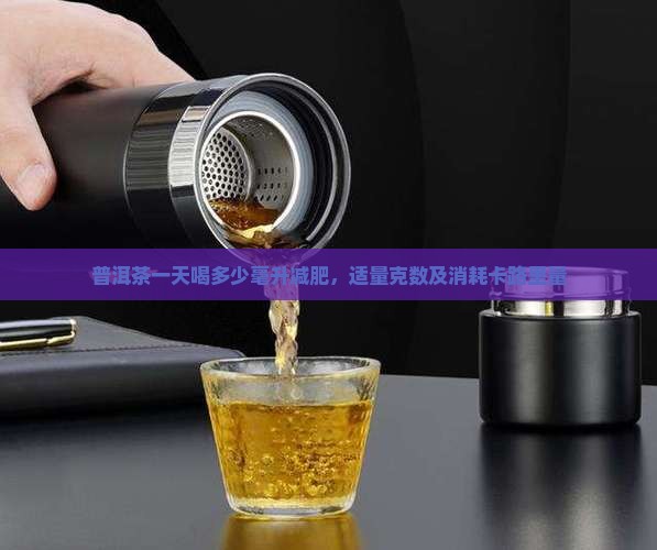 普洱茶一天喝多少毫升减肥，适量克数及消耗卡路里量