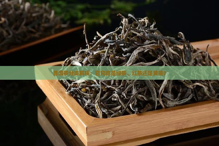 普洱茶分类解析：它究竟是绿茶、红茶还是黄茶？