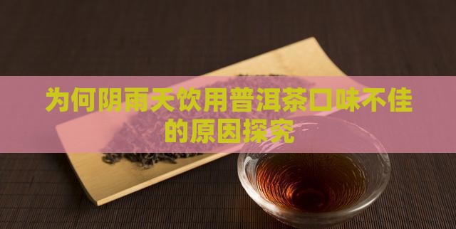 为何阴雨天饮用普洱茶口味不佳的原因探究