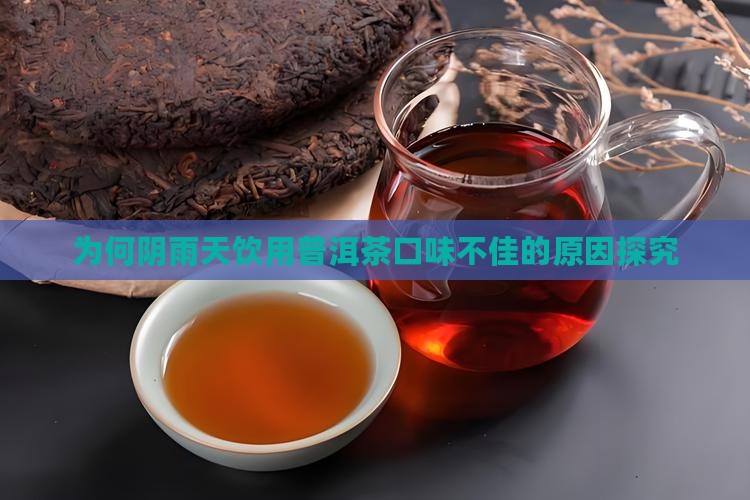 为何阴雨天饮用普洱茶口味不佳的原因探究