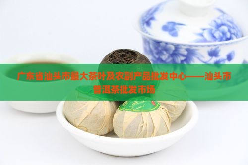 广东省汕头市最大茶叶及农副产品批发中心——汕头市普洱茶批发市场