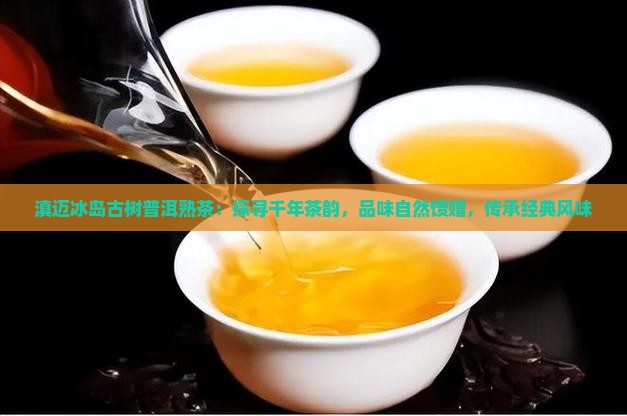 滇迈冰岛古树普洱熟茶：探寻千年茶韵，品味自然馈赠，传承经典风味