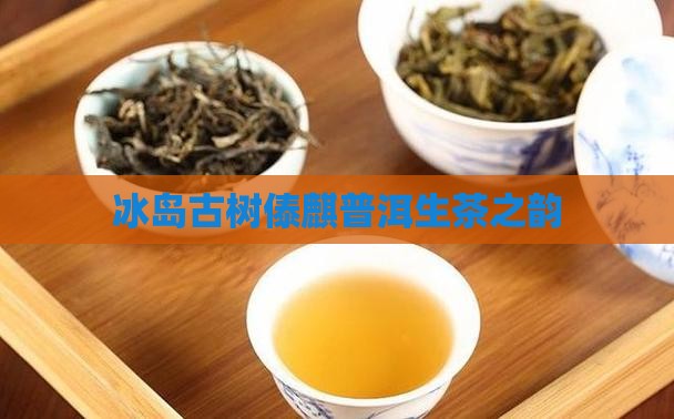 冰岛古树傣麒普洱生茶之韵