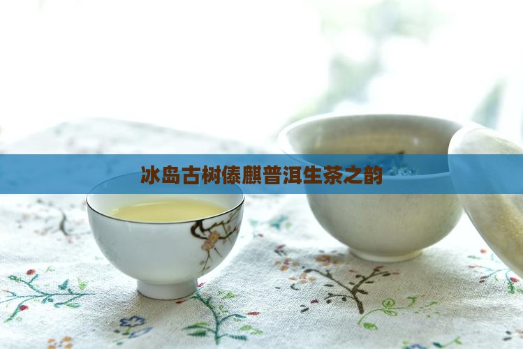 冰岛古树傣麒普洱生茶之韵
