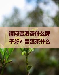 请问普洱茶什么牌子好？普洱茶什么牌子好喝？如何选择？