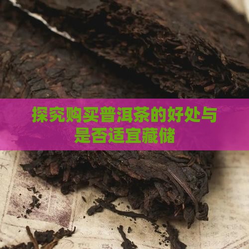 探究购买普洱茶的好处与是否适宜藏储