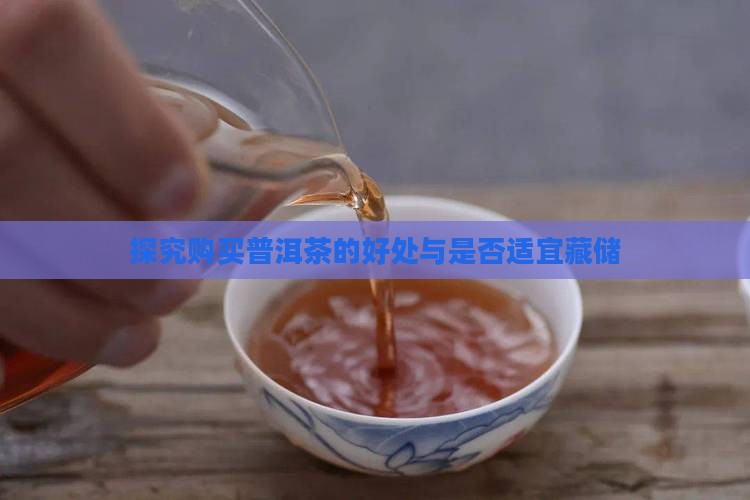 探究购买普洱茶的好处与是否适宜藏储