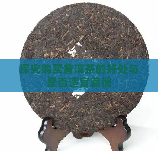 探究购买普洱茶的好处与是否适宜藏储