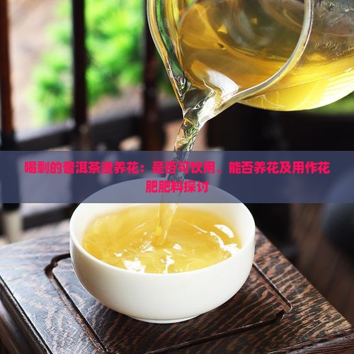喝剩的普洱茶渣养花：是否可饮用、能否养花及用作花肥肥料探讨