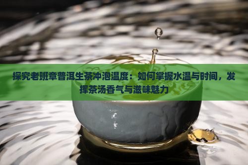 探究老班章普洱生茶冲泡温度：如何掌握水温与时间，发挥茶汤香气与滋味魅力