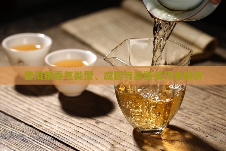 普洱茶香气类型、成因与品鉴技巧全解析