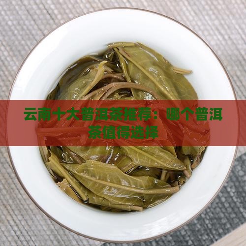 云南十大普洱茶推荐：哪个普洱茶值得选择