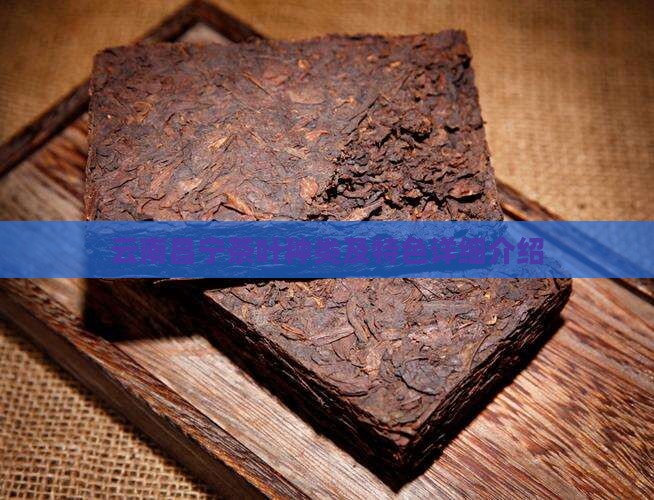 云南昌宁茶叶种类及特色详细介绍