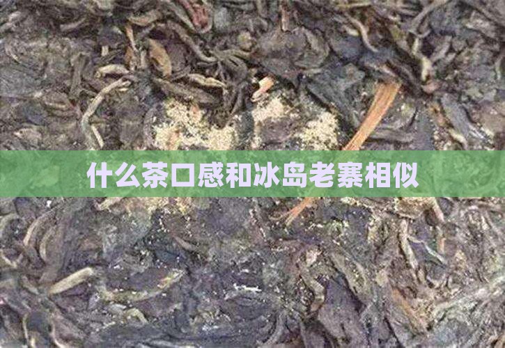 什么茶口感和冰岛老寨相似