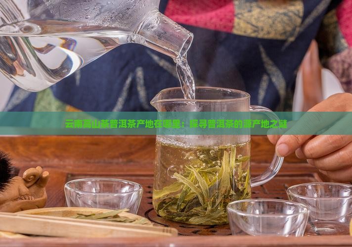 云南高山茶普洱茶产地在哪里：探寻普洱茶的源产地之谜