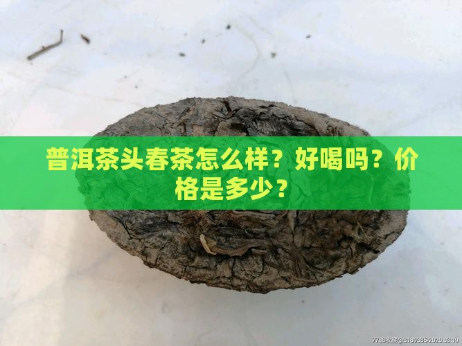 普洱茶头春茶怎么样？好喝吗？价格是多少？