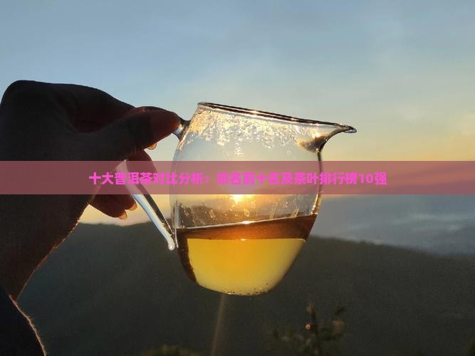 十大普洱茶对比分析：排名前十名及茶叶排行榜10强