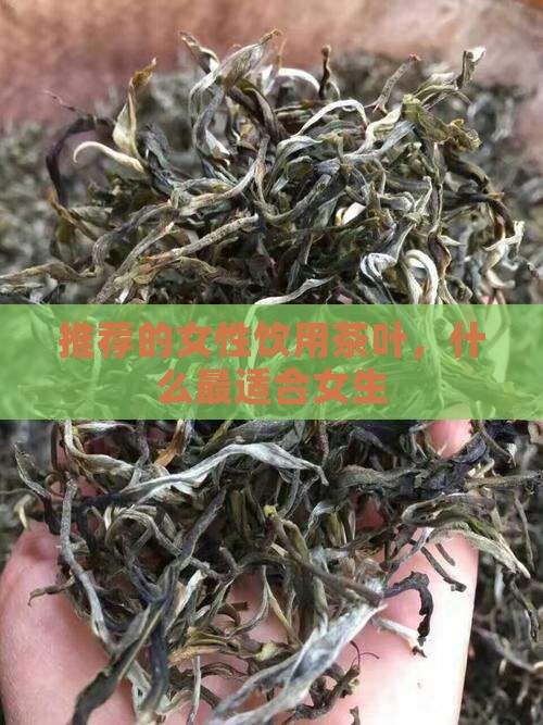 推荐的女性饮用茶叶，什么最适合女生