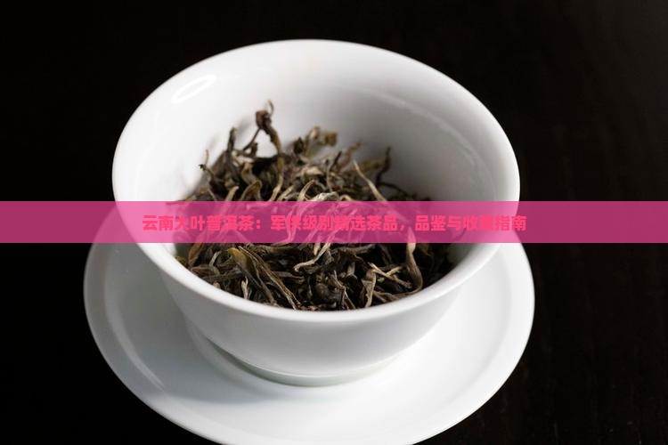 云南大叶普洱茶：军供级别精选茶品，品鉴与收藏指南